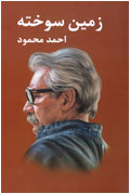 زمين سوخته