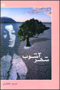 شهرآشوب