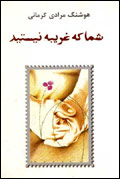 شما که غریبه نیستید